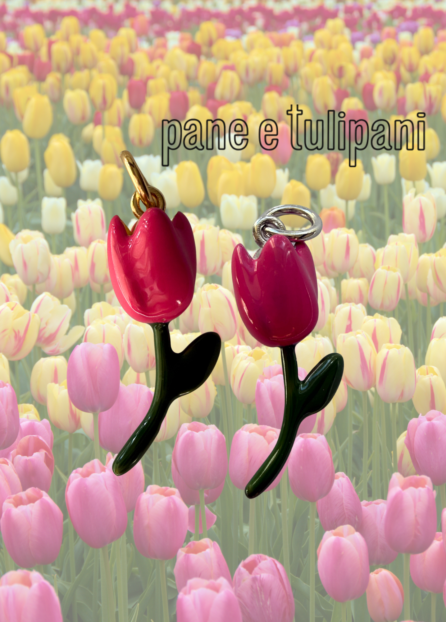 CHARM TULIPANO - PANE E TULIPANI