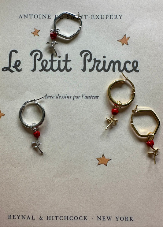 CHARM ROSA - Piccolo Principe