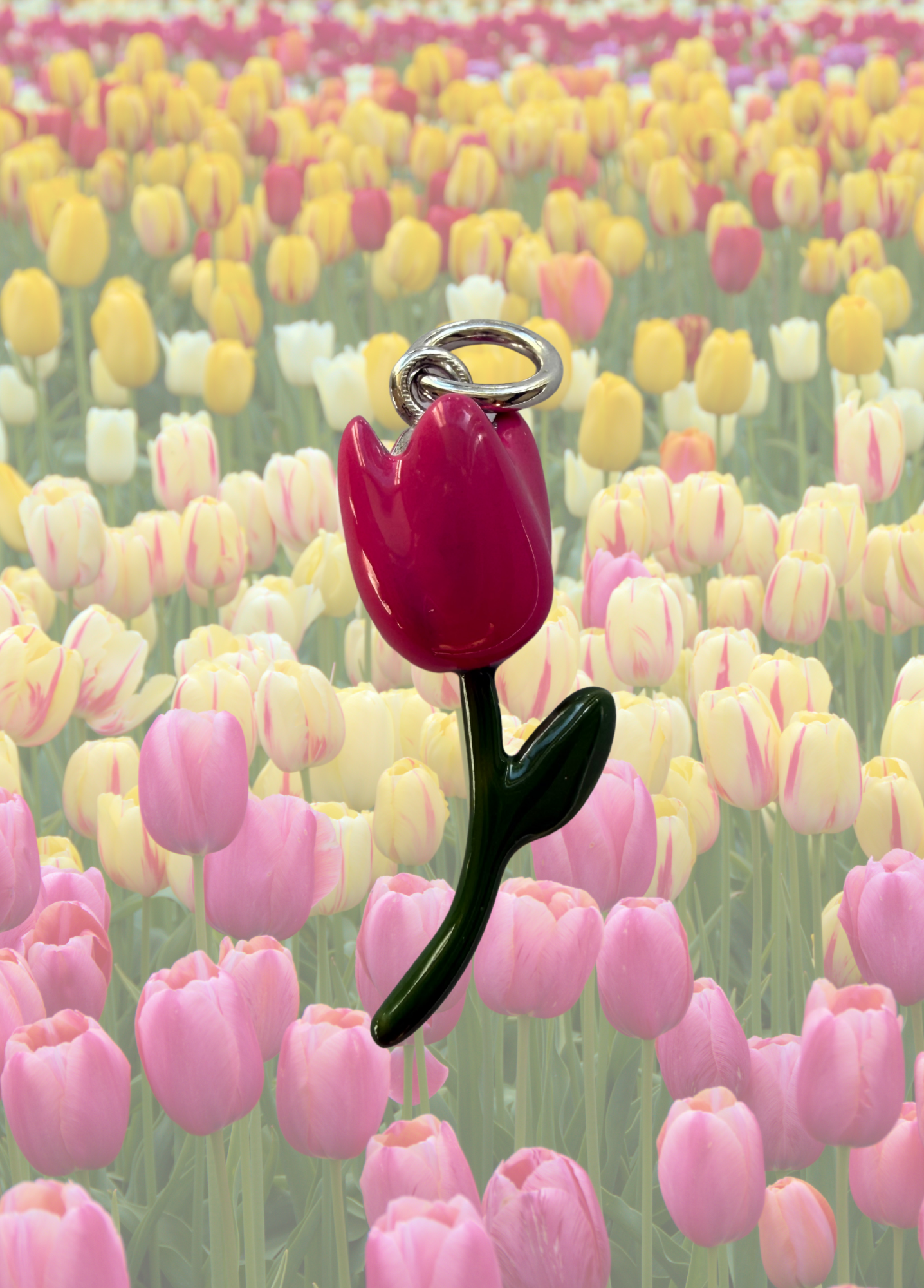 CHARM TULIPANO - PANE E TULIPANI