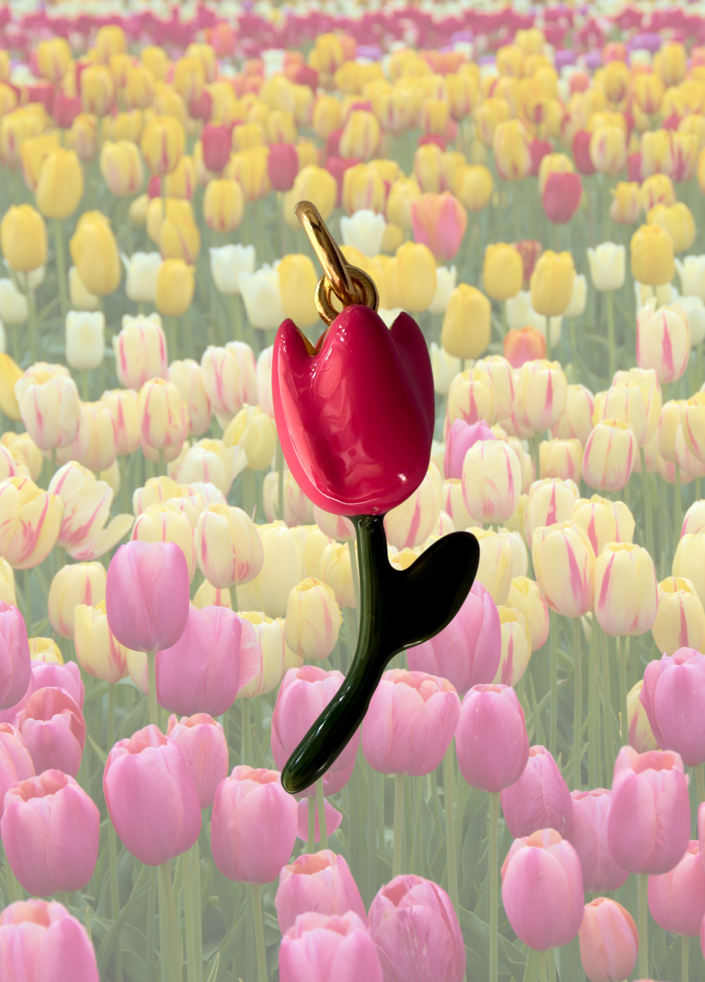 CHARM TULIPANO - PANE E TULIPANI